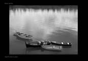 Plate BOATS_ON_A_LAKE.